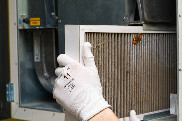 Best Air Duct Mold Removal  in Rmel By The Sea, CA