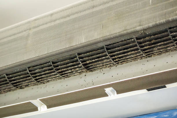 Air Duct Mold Removal in CA